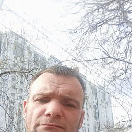 , 37,  