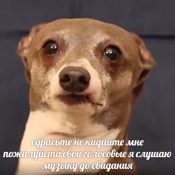    - 27  2024  21:13
