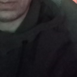 ���������, ���������, 41 ���