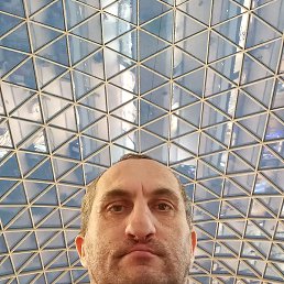 ������, �����, 46 ���