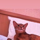 ���� ������, ��������, 59 ��� - ��������� 14 ������ 2023