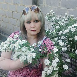 ����, ������, 54 ����