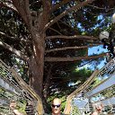 ���� V����, ���� - ��������� 22 �������� 2024 � ������ ���� ����������