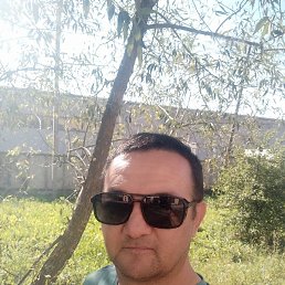 �����, ������, 46 ���