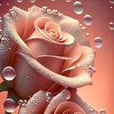 ���� Toma, ������� - ��������� 8 ����� 2025