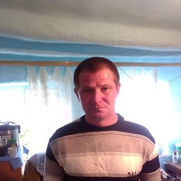 ���� ����, ������, 41 ��� - ��������� 3 ����� 2024