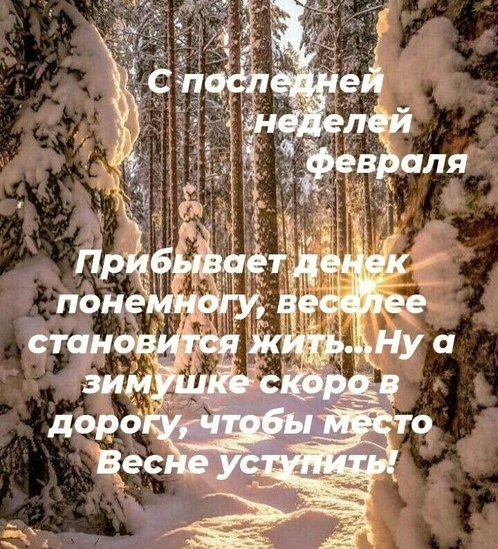 ����������� � ���������, �������� �� ������ ����. - 25 ������� 2026 � 13:06