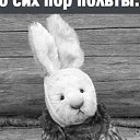 ���� �����, ������, 41 ��� - ��������� 18 ������� 2024 � ������ ���� ����������