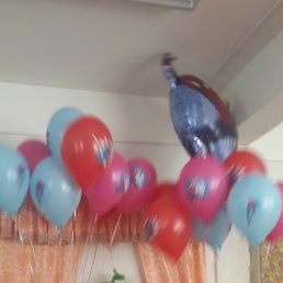 ���� �����, �����-���������, 40 ��� - ��������� 23 ������� 2024