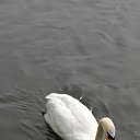  , , 53  -  17  2025    