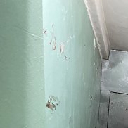 �������, 22 ����, �����-���������