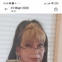 ���� ������, ��������-��-������, 53 ���� - ��������� 15 ������ 2026 � ������ ���� ����������