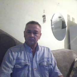 , 56, 