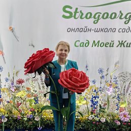 ���� �������, ������ ��������, 59 ��� - ��������� 14 ������ 2025