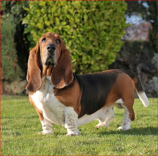 , ,   ! -       ,   ...