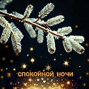 ���� �������, �������� - ��������� 20 ������� 2026 � ������ ������ ��������