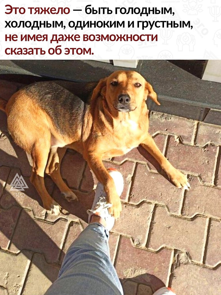  ,            -  ...