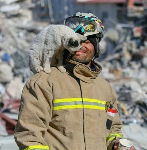 Турецкий пожарный вытащил нового четвероногого друга из-под завалов после землетрясения в Турции в ...