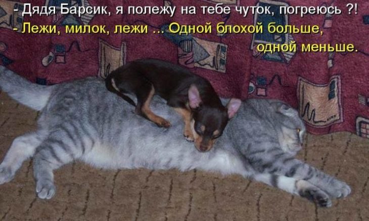 ����,����� �� 120 ���������!. - 13 ���� 2026 � 00:05