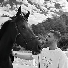 �������, �����-���������, 33 ����