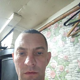 , 41, 