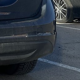 Sardor, ���������, 41 ���