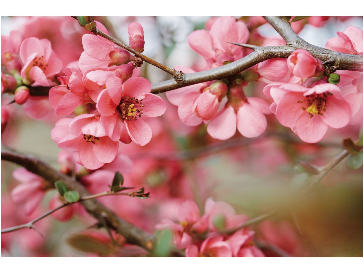 ��� ���� - 13 ��� 2026 � 08:48