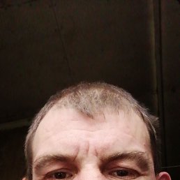 , 38 , 