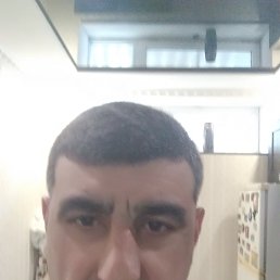 , 41, 