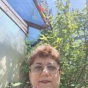 ���� ��������, ������ �����, 56 ��� - ��������� 26 ���� 2024 � ������ ���� ����������