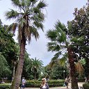 ���� �������, ���������, 52 ���� - ��������� 18 ������� 2024