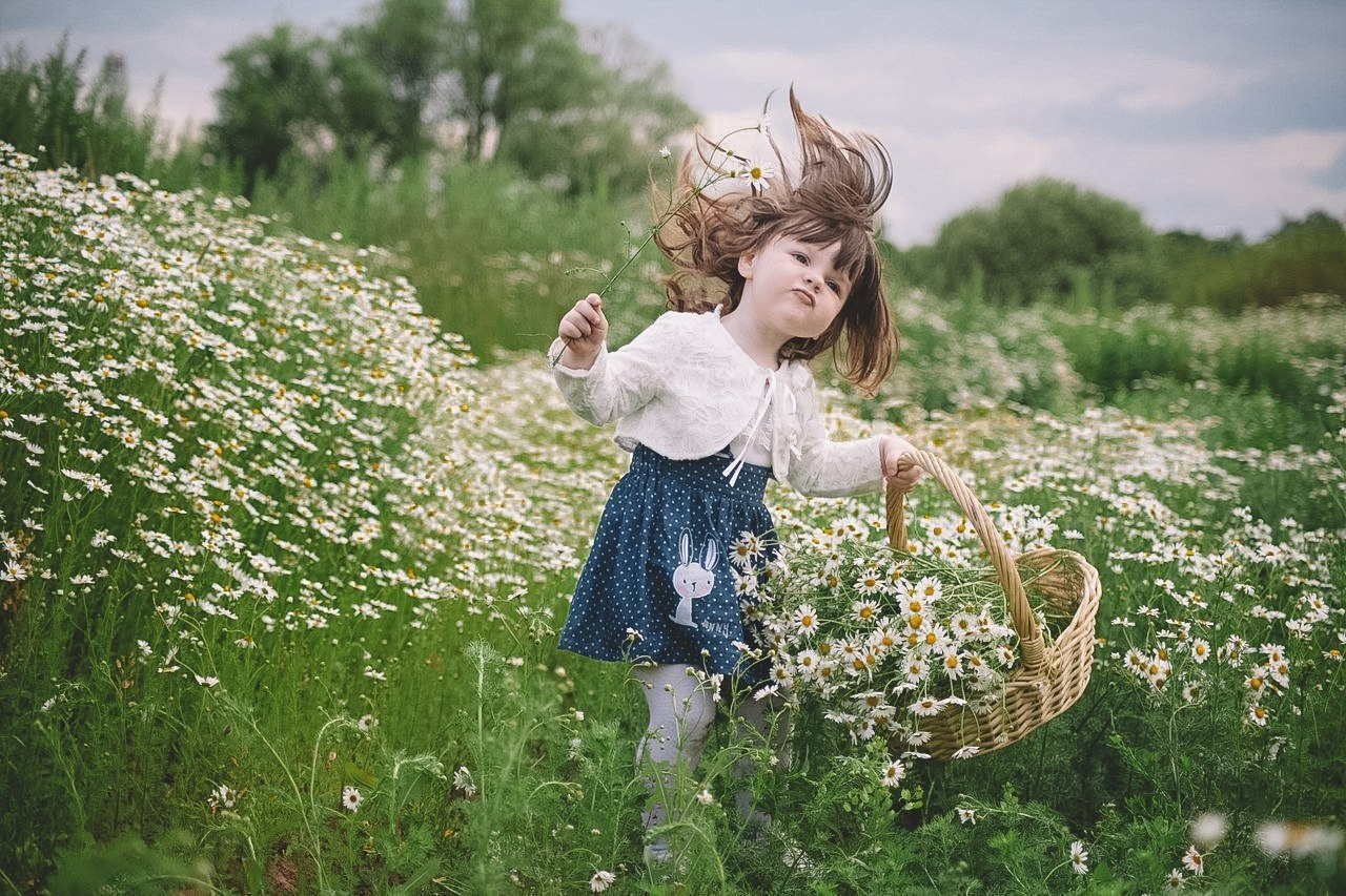 Приветлив и светел. Фотосессия в ромашках. Девочка в ромашках. Дети в ромашковом поле. Собирать цветы.