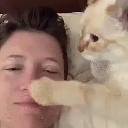 ������, �������