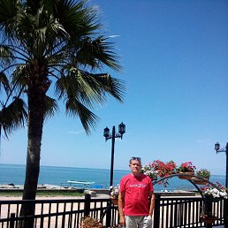 ���� ��������, ������, 71 ��� - ��������� 28 ������� 2026