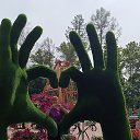 ���� ����, ������, 62 ���� - ��������� 9 ������� 2025 � ������ ���� ����������