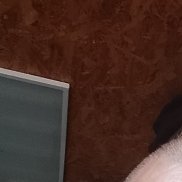 ����, 48 ���, ����