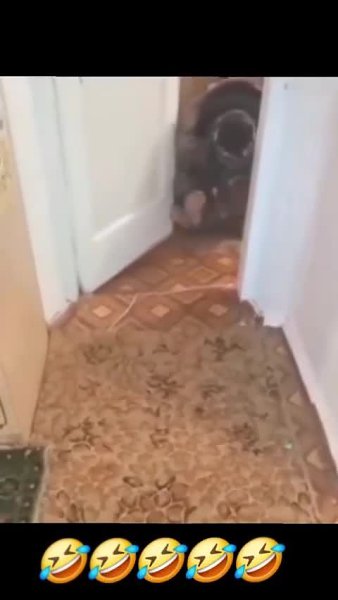 ��� ������ ���� ����� ����� �������� �� ����! - 2