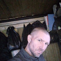 ���� ���������, ���������, 48 ��� - ��������� 1 ������� 2024