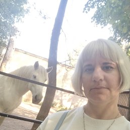 ���� ����, ������, 34 ���� - ��������� 27 ������ 2026