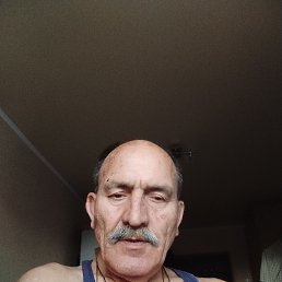 , 62, 