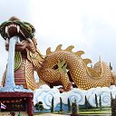 ���� �����, ������������, 31 ��� - ��������� 28 ������ 2024 � ������ ���� ����������