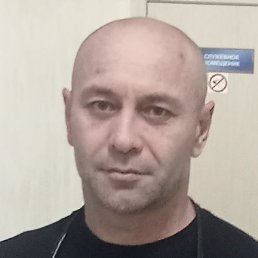 �����, ������, 41 ���