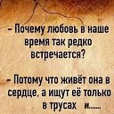 ���� �����, ���������, 61 ��� - ��������� 27 ��� 2025 � ������ ���� ����������