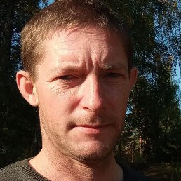 ������, ������, 41 ���