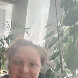 , 43 , 