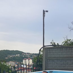 �������, 40 ���, ��������