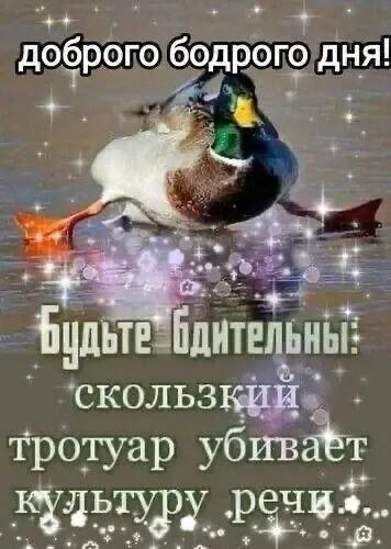 ������ - 14 ������� 2025 � 10:47