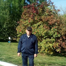 ��������� ��������, ����, 67 ���