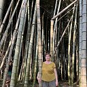 ���� �������, ��������, 64 ���� - ��������� 23 ������ 2025 � ������ ���� ����������