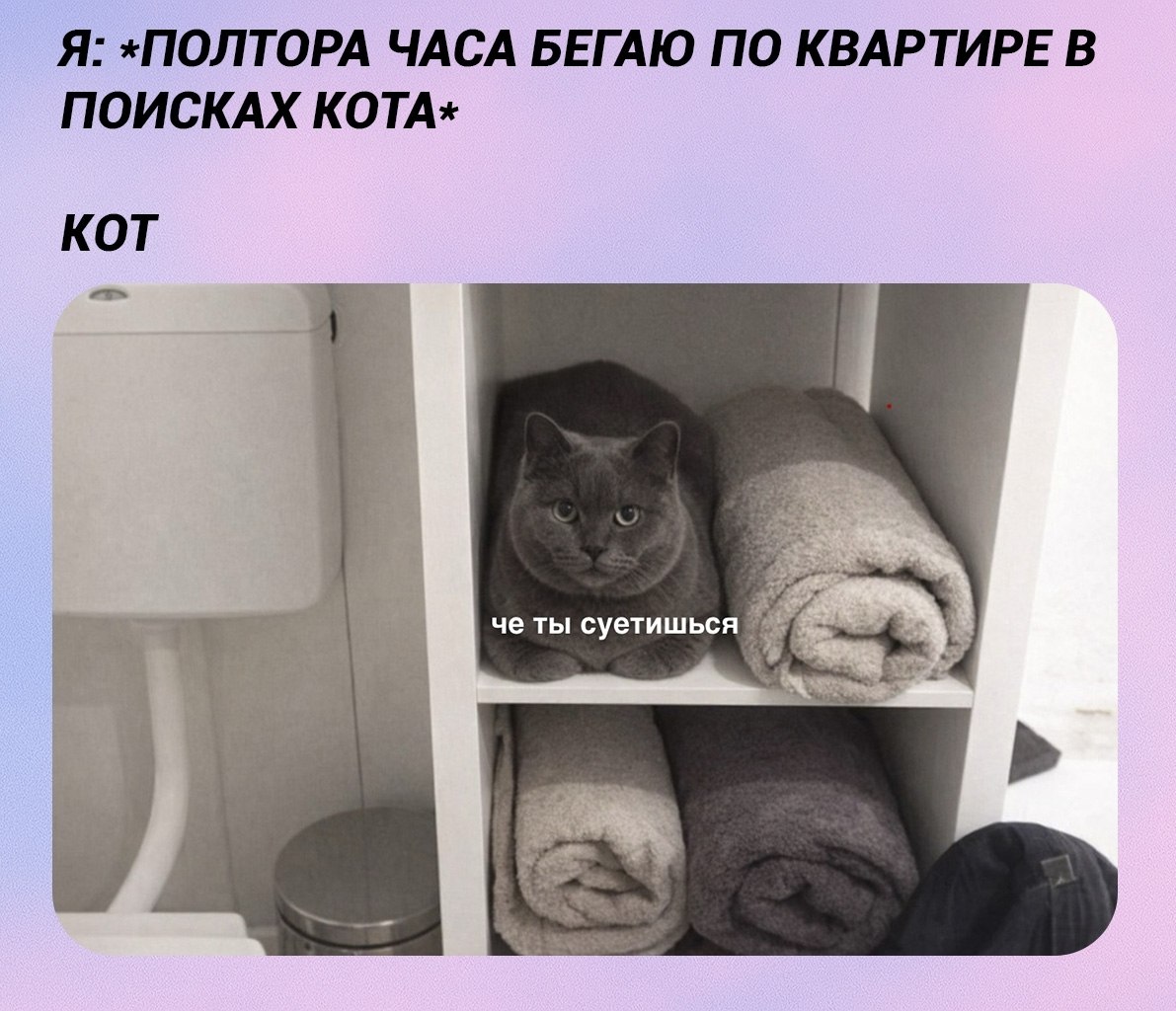 ��������� ����������: